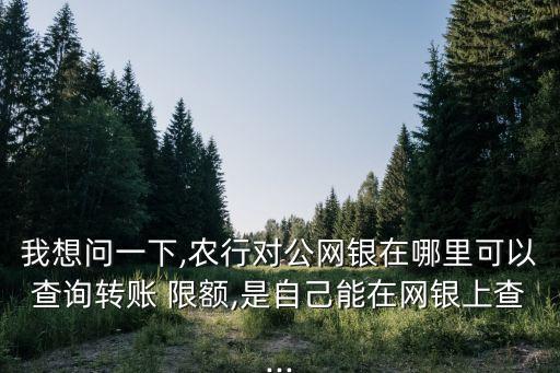我想问一下,农行对公网银在哪里可以查询转账 限额,是自己能在网银上查...