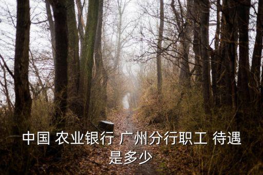 农业银行待遇怎么样广州,广州工商银行待遇好或是农业银行好