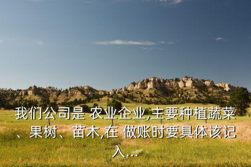 我们公司是 农业企业,主要种植蔬菜、果树、苗木,在 做账时要具体该记入...