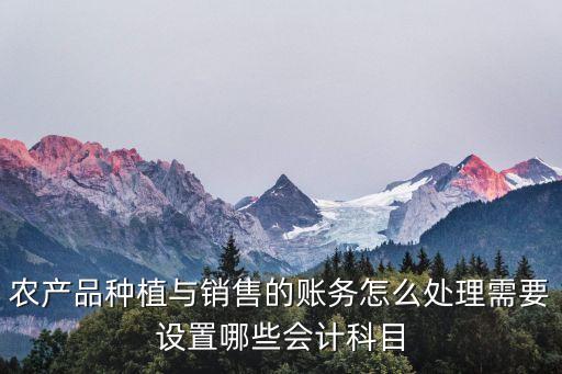 农业项目怎么做账的