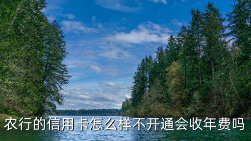 农业银行怎么样不扣钱