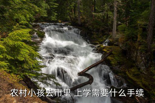 农村小孩去市里 上学需要什么手续