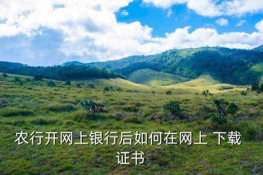 农业银行ie证书怎么下载