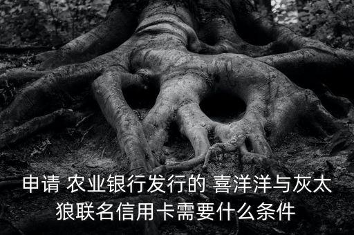 申请 农业银行发行的 喜洋洋与灰太狼联名信用卡需要什么条件