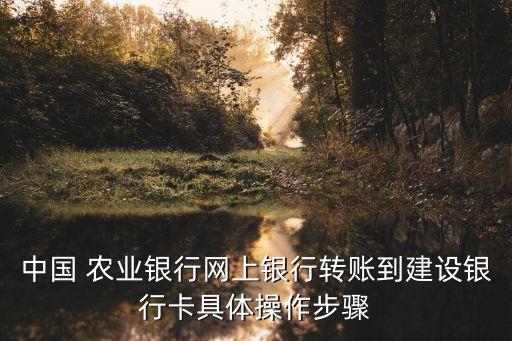中国 农业银行网上银行转账到建设银行卡具体操作步骤