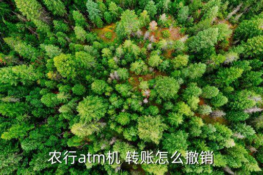 农业银行转账转错怎么取消,别人往我农业银行转账转不了