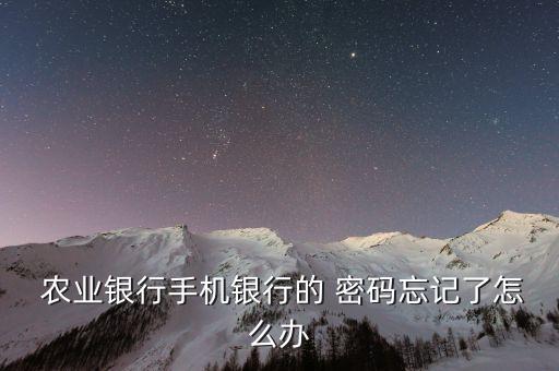 农业登录密码忘了怎么办,农业信用卡密码忘了怎么办