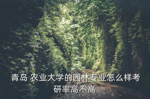 美盛兴农青岛农业怎么样,青岛美盛兴农农业科技有限公司