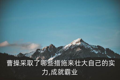  曹操采取了哪些措施来壮大自己的实力,成就霸业