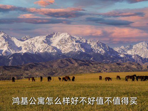 鸿基农业烤鱼怎么样