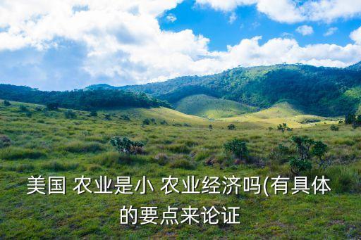 什么叫做美国农业,美国农业实现了什么化和什么化
