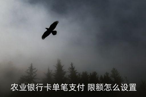 农业单日累计限额怎么修改,农业银行卡超过单日累计支付限额