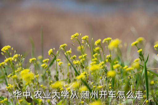 随州扶星农业怎么样啊,随州红景天农业怎么样
