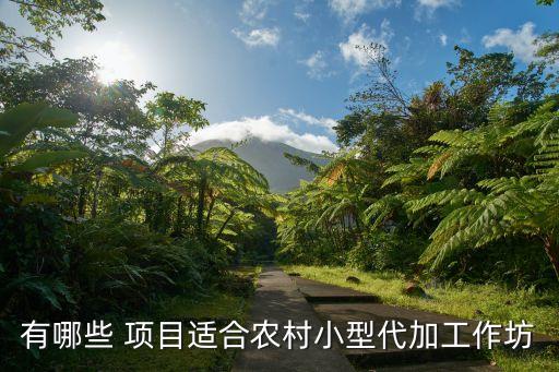 有哪些 项目适合农村小型代加工作坊