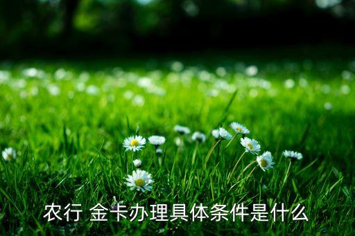 农业银行怎么能搞到金卡