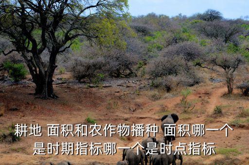 耕地 面积和农作物播种 面积哪一个是时期指标哪一个是时点指标