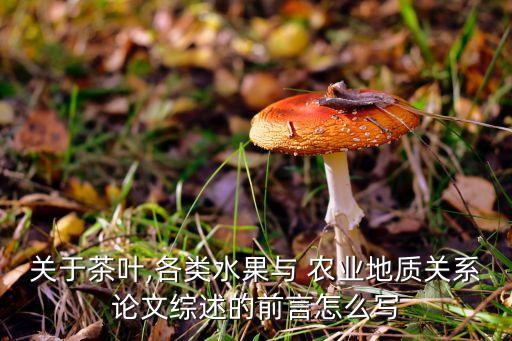 农业专家评述怎么写好看