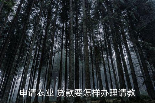 农业银行额度在贷款怎么贷