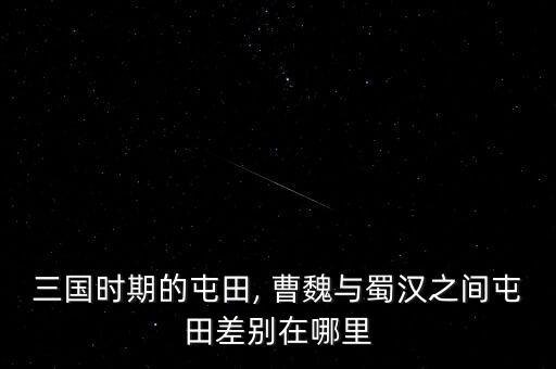 曹魏农业怎么样了,如果曹魏不灭亡会怎么样