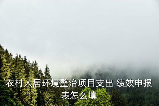 农业招商绩效表怎么填写