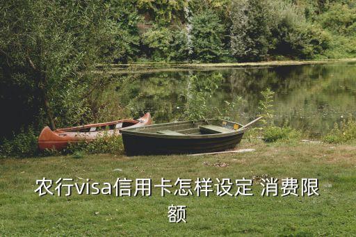 农业银行怎么设置消费
