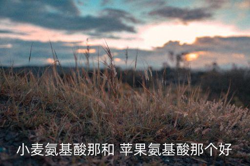 青岛农业大学苹果怎么下载