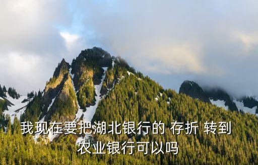 怎么转到农业银行存折,农业银行App里多了存折账号