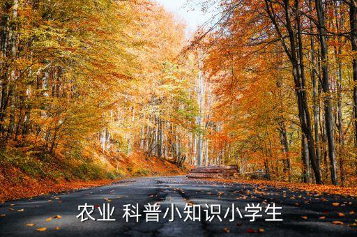 农业科普美篇用什么歌曲