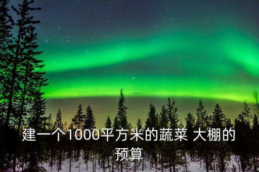 普通农业大棚怎么算成本,农业大棚怎么申请