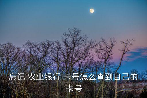 农业卡掉了怎么查询卡号,农业合作社怎么查询?