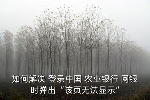 农业公司网银怎么登录不了