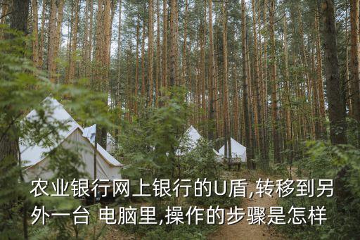 农业盾怎么在电脑使用,农业k宝电脑怎么用