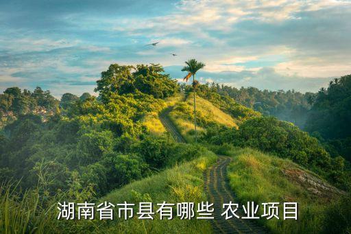 湖南在家做什么农业能赚钱,湖南远鹏农业具体是做什么的