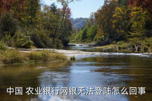 k宝农业怎么登录不上,农业K宝怎么转账