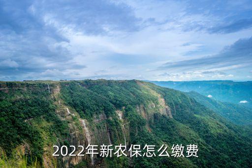2022年新农保怎么缴费