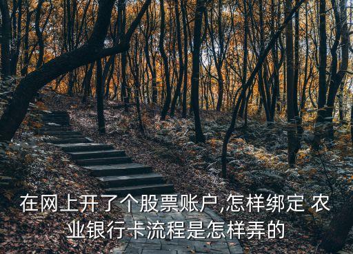 在网上开了个股票账户,怎样绑定 农业银行卡流程是怎样弄的
