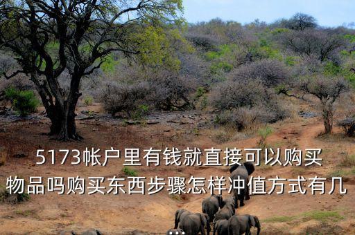 农业银行5173怎么充值
