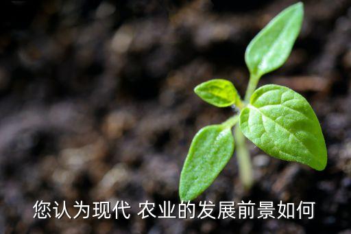 现在农业的生产情况怎么样,兴储世纪生产情况怎么样