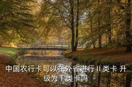 农业怎么升级一类,农业银行卡升级一类卡