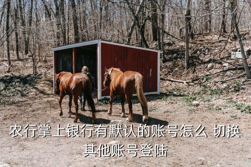 怎么切换农业银行网上帐号,农业银行如何切换帐号