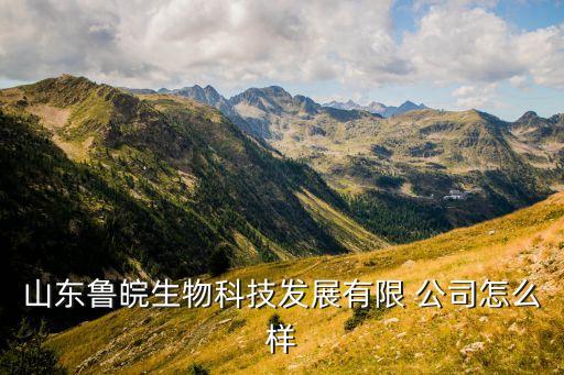 武昌中鲁农业公司怎么样