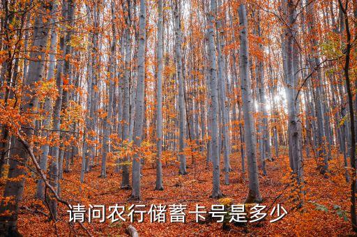 农业银行卡号是什么样,无效卡号是什么意思农业银行