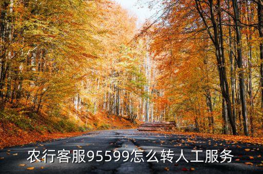 怎么打农业银行的电话,晚上可以打农业银行电话吗