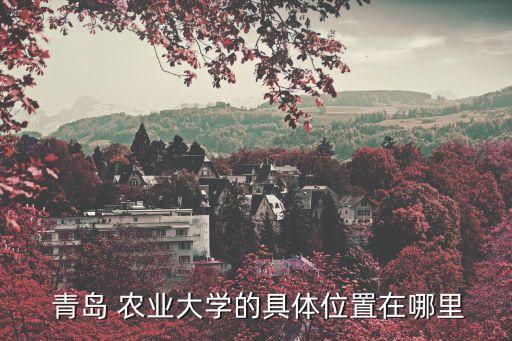胶南到青岛农业大学怎么走