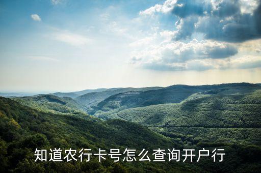 农业银行怎么查超级网银