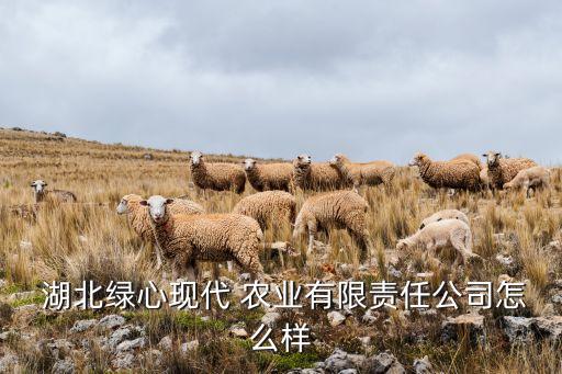  湖北绿心现代 农业有限责任公司怎么样