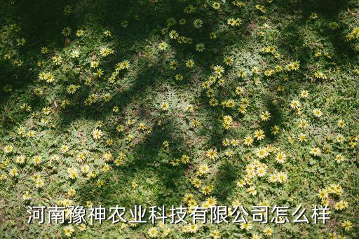虞城农业局怎么去