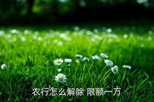 农业银行付款限额怎么修改