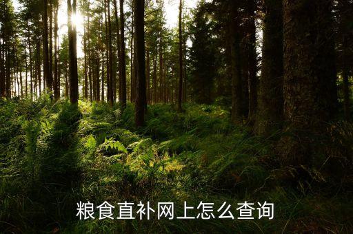 粮食直补网上怎么查询