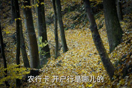 农行卡 开户行是哪儿的